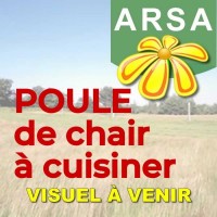 Poule