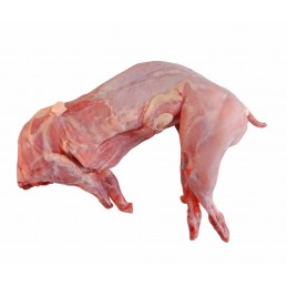 Lapin