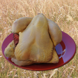 Poulet prêt à cuisiner