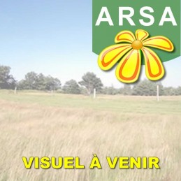 Bourguignon de boeuf en...