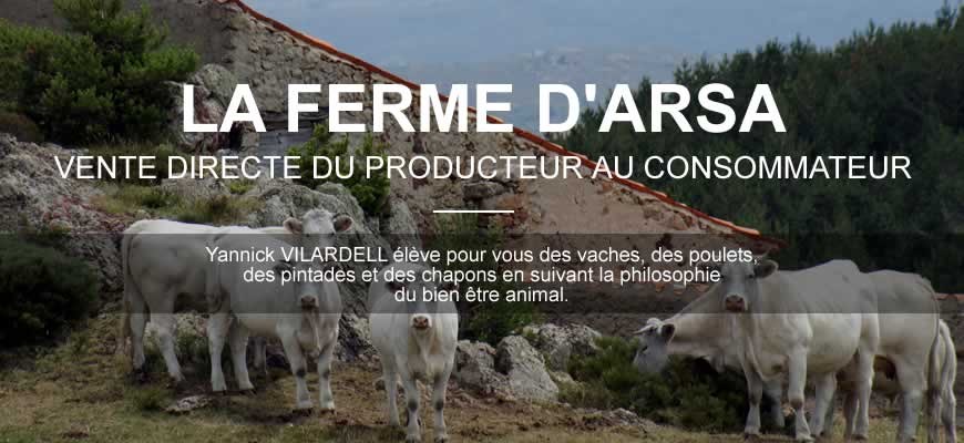 Vente directe du producteur au consommateur : Yannick Vilardell élève pour vous du veau et du boeuf BIO, des poulets, des pintades et des chapons en suivant la philosophie du bien être animal.