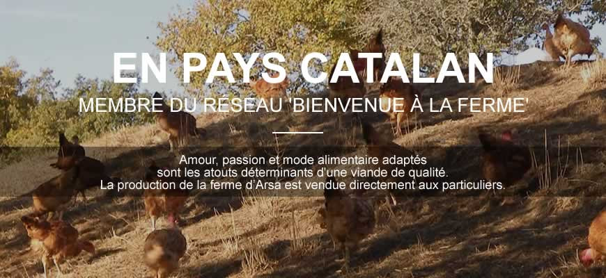 En pays Catalan, membre du réseau Bienvenue à la Ferme. Amour, passion et mode alimentaire adapté sont les atouts déterminants d'une viande de qualité. La production de la Ferme d'Arsa est vendue directement aux particuliers.